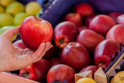 Imagem do Post Transporte de frutas: cuidados a serem observados 