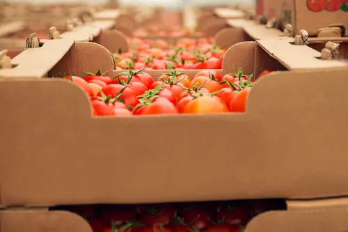 Imagem do Post Transporte seguro de alimentos perecíveis